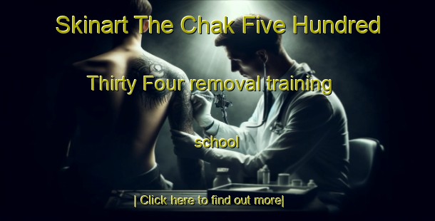 Skinart The Chak Five Hundred Thirty Four removal training school-United Kingdom