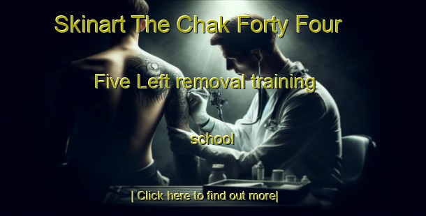 Skinart The Chak Forty Four   Five Left removal training school-United Kingdom