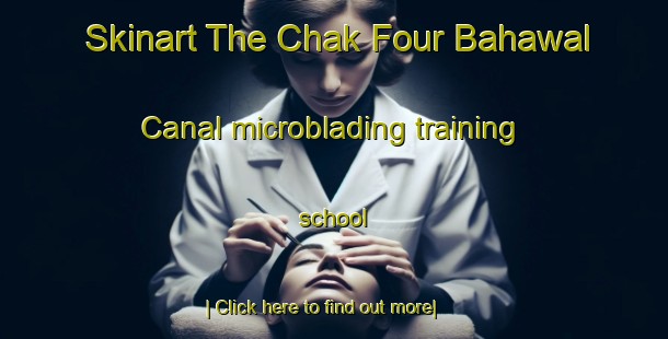 Skinart The Chak Four Bahawal Canal microblading training school-United Kingdom