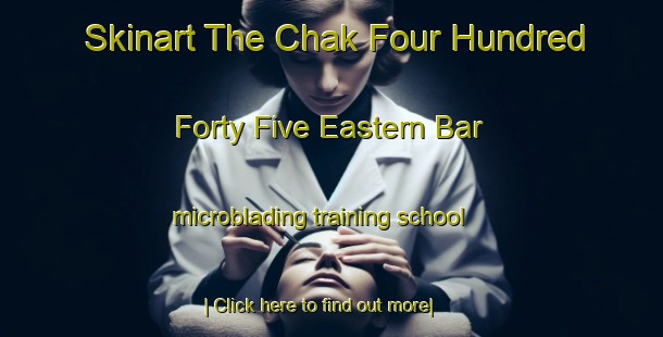 Skinart The Chak Four Hundred Forty Five Eastern Bar microblading training school-United Kingdom