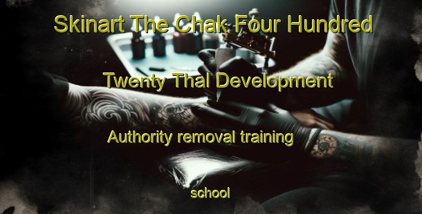 Skinart The Chak Four Hundred Twenty Thal Development Authority removal training school-United Kingdom