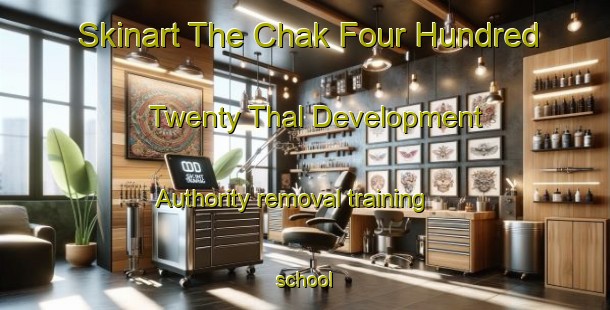 Skinart The Chak Four Hundred Twenty Thal Development Authority removal training school-United Kingdom