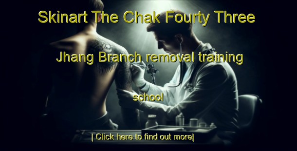 Skinart The Chak Fourty Three Jhang Branch removal training school-United Kingdom