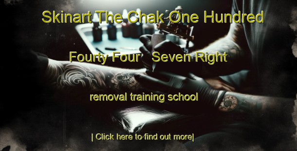 Skinart The Chak One Hundred Fourty Four   Seven Right removal training school-United Kingdom