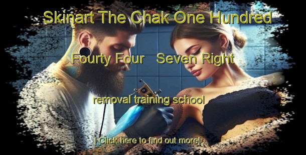 Skinart The Chak One Hundred Fourty Four   Seven Right removal training school-United Kingdom