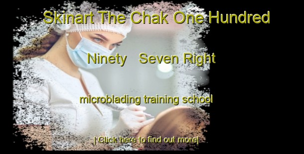 Skinart The Chak One Hundred Ninety   Seven Right microblading training school-United Kingdom