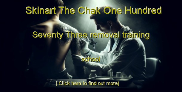 Skinart The Chak One Hundred Seventy Three removal training school-United Kingdom