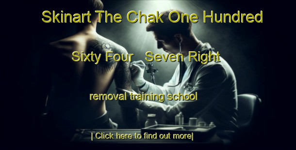 Skinart The Chak One Hundred Sixty Four   Seven Right removal training school-United Kingdom