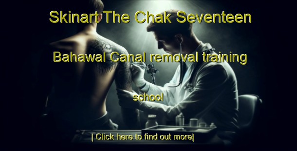 Skinart The Chak Seventeen Bahawal Canal removal training school-United Kingdom