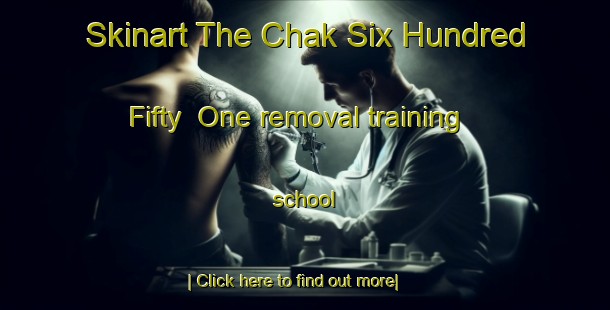 Skinart The Chak Six Hundred Fifty  One removal training school-United Kingdom