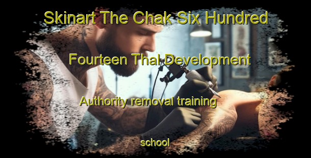 Skinart The Chak Six Hundred Fourteen Thal Development Authority removal training school-United Kingdom