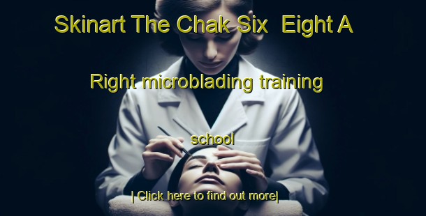 Skinart The Chak Six  Eight A Right microblading training school-United Kingdom