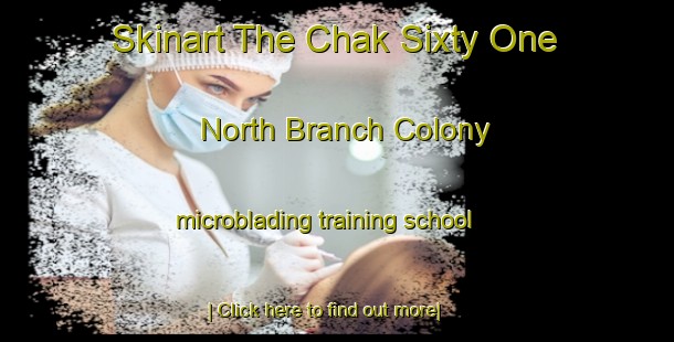 Skinart The Chak Sixty One North Branch Colony microblading training school-United Kingdom