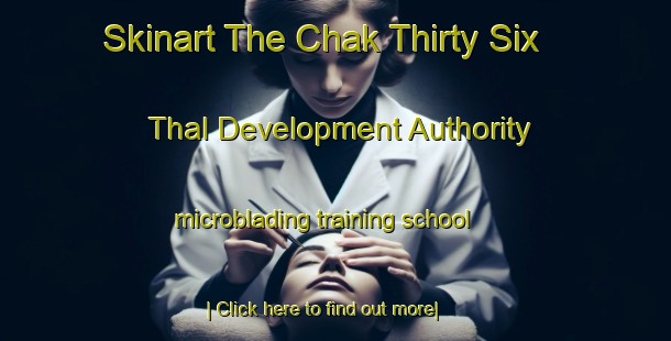 Skinart The Chak Thirty Six Thal Development Authority microblading training school-United Kingdom