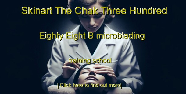 Skinart The Chak Three Hundred Eighty Eight B microblading training school-United Kingdom