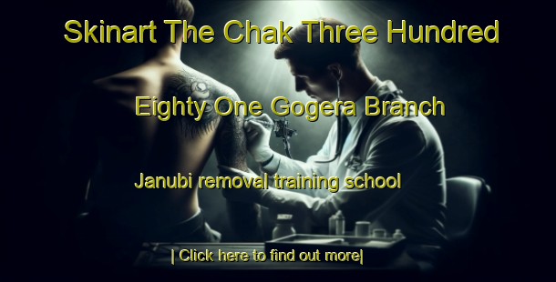 Skinart The Chak Three Hundred Eighty One Gogera Branch Janubi removal training school-United Kingdom