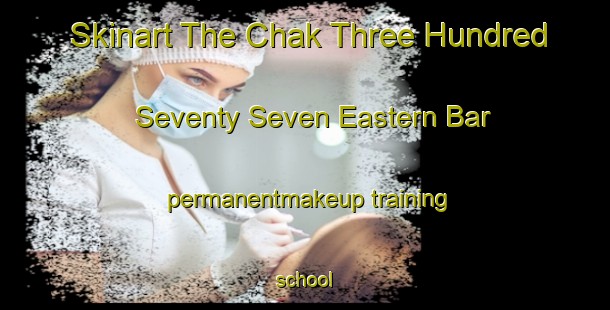 Skinart The Chak Three Hundred Seventy Seven Eastern Bar permanentmakeup training school-United Kingdom