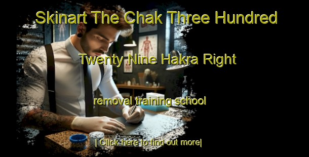 Skinart The Chak Three Hundred Twenty Nine Hakra Right removal training school-United Kingdom