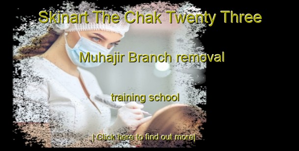 Skinart The Chak Twenty Three Muhajir Branch removal training school-United Kingdom