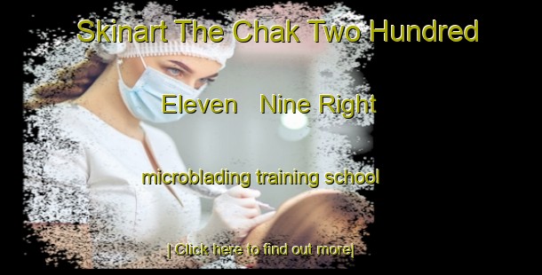 Skinart The Chak Two Hundred Eleven   Nine Right microblading training school-United Kingdom