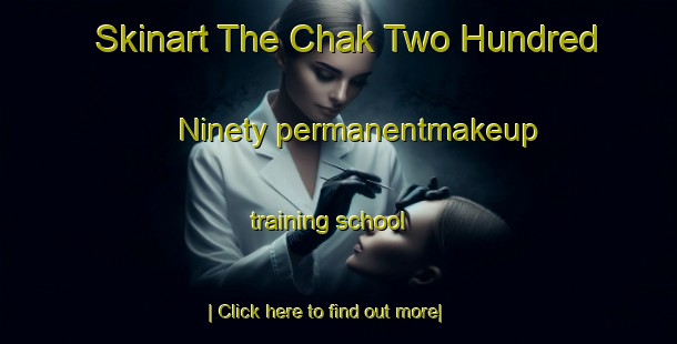 Skinart The Chak Two Hundred Ninety permanentmakeup training school-United Kingdom