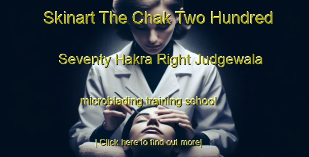 Skinart The Chak Two Hundred Seventy Hakra Right Judgewala microblading training school-United Kingdom