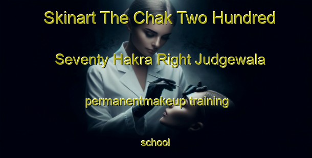 Skinart The Chak Two Hundred Seventy Hakra Right Judgewala permanentmakeup training school-United Kingdom