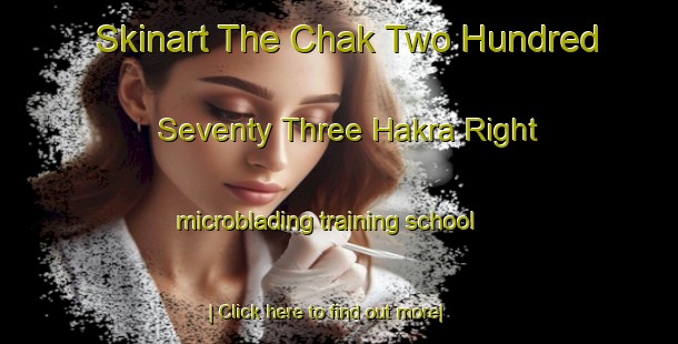 Skinart The Chak Two Hundred Seventy Three Hakra Right microblading training school-United Kingdom