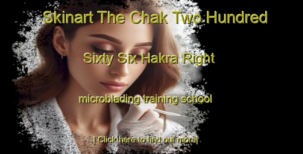 Skinart The Chak Two Hundred Sixty Six Hakra Right microblading training school-United Kingdom