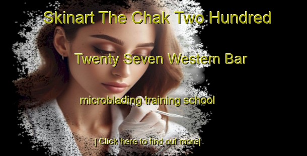 Skinart The Chak Two Hundred Twenty Seven Western Bar microblading training school-United Kingdom