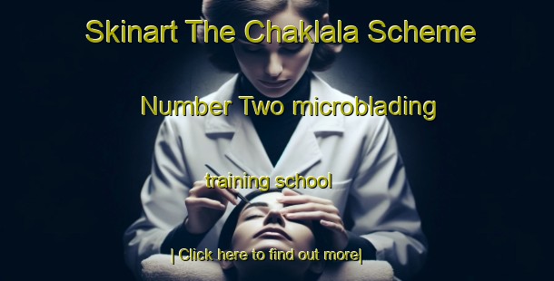 Skinart The Chaklala Scheme Number Two microblading training school-United Kingdom