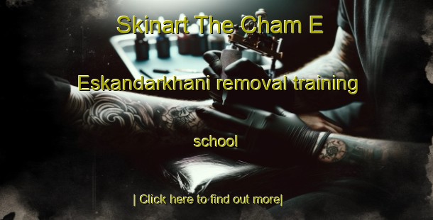 Skinart The Cham E Eskandarkhani removal training school-United Kingdom