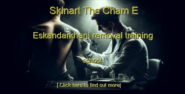 Skinart The Cham E Eskandarkhani removal training school-United Kingdom