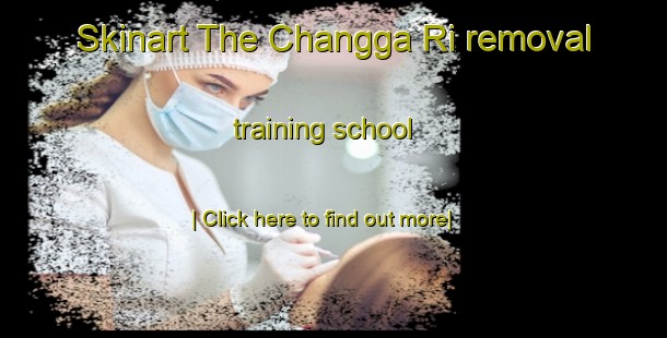 Skinart The Changga Ri removal training school-United Kingdom