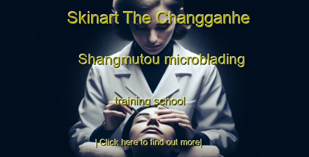 Skinart The Changganhe Shangmutou microblading training school-United Kingdom