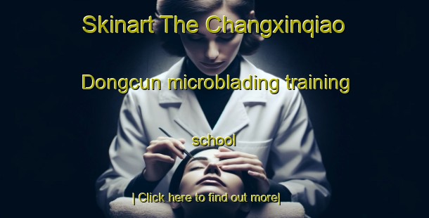 Skinart The Changxinqiao Dongcun microblading training school-United Kingdom