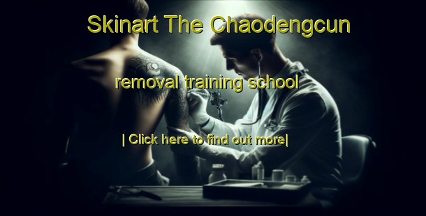 Skinart The Chaodengcun removal training school-United Kingdom