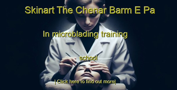 Skinart The Chenar Barm E Pa In microblading training school-United Kingdom