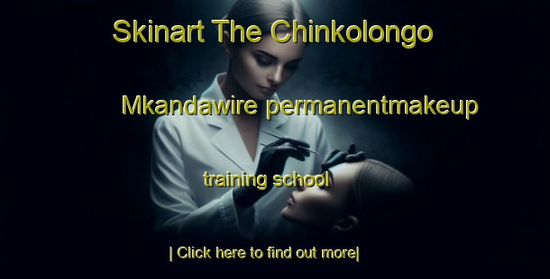 Skinart The Chinkolongo Mkandawire permanentmakeup training school-United Kingdom