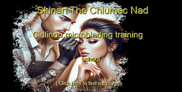 Skinart The Chlumec Nad Cidlinou microblading training school-United Kingdom