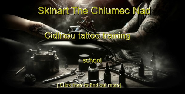 Skinart The Chlumec Nad Cidlinou tattoo training school-United Kingdom