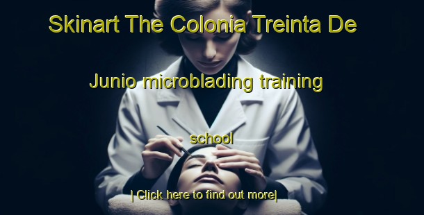 Skinart The Colonia Treinta De Junio microblading training school-United Kingdom