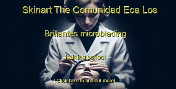 Skinart The Comunidad Eca Los Brillantes microblading training school-United Kingdom