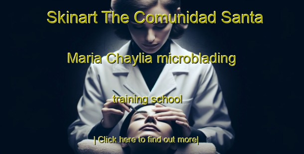 Skinart The Comunidad Santa Maria Chaylia microblading training school-United Kingdom