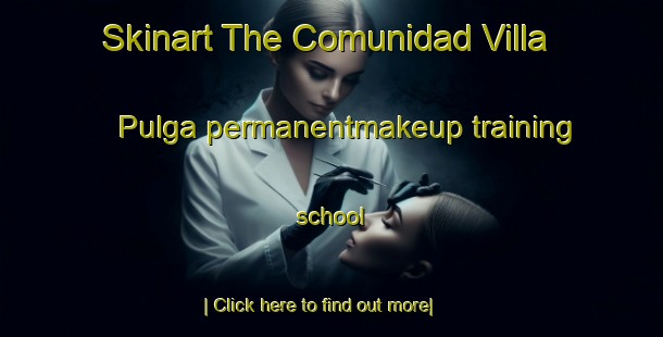 Skinart The Comunidad Villa Pulga permanentmakeup training school-United Kingdom