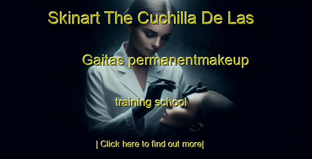 Skinart The Cuchilla De Las Gaitas permanentmakeup training school-United Kingdom