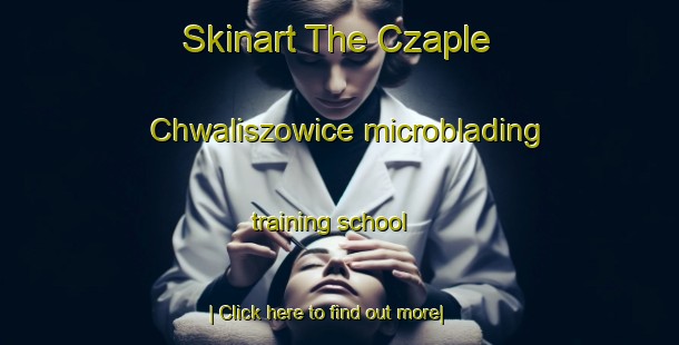 Skinart The Czaple Chwaliszowice microblading training school-United Kingdom