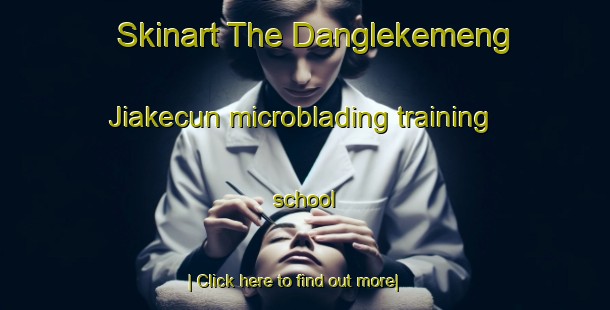 Skinart The Danglekemeng Jiakecun microblading training school-United Kingdom