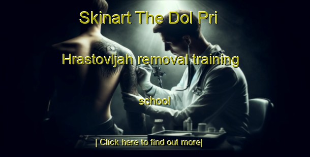 Skinart The Dol Pri Hrastovljah removal training school-United Kingdom