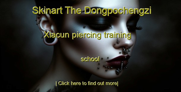 Skinart The Dongpochengzi Xiacun piercing training school-United Kingdom